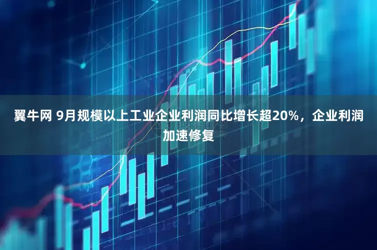 翼牛网 9月规模以上工业企业利润同比增长超20%，企业利润加速修复